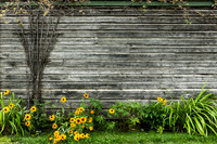 4674 Trellused Wall
