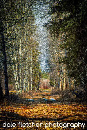 9442 Colour Path