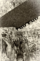 3136 Forgotten Saw