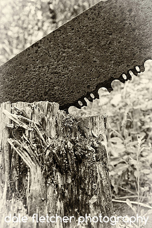 3136 Forgotten Saw