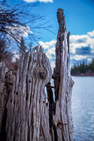 4417 Stump