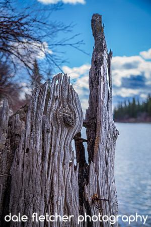 4417 Stump