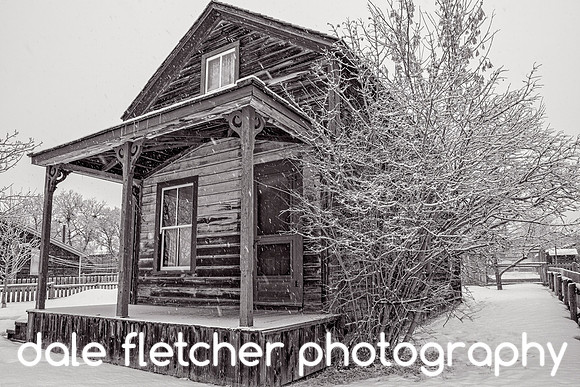 1233 Snowy House