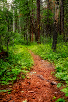 3349 Follow The Path