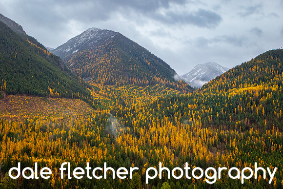7590 East Kootenay Fall