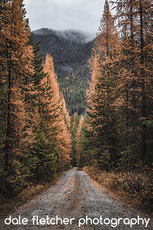 7583 Fall Backroad