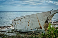 7844 Beached and Forgotten
