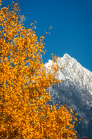 7418 Fall Fisher Peak