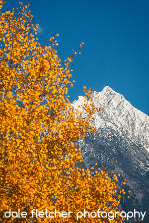 7418 Fall Fisher Peak