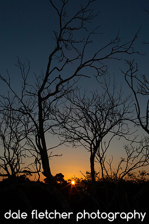 8576 Final Light