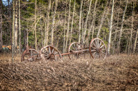 2908 Old Wagon