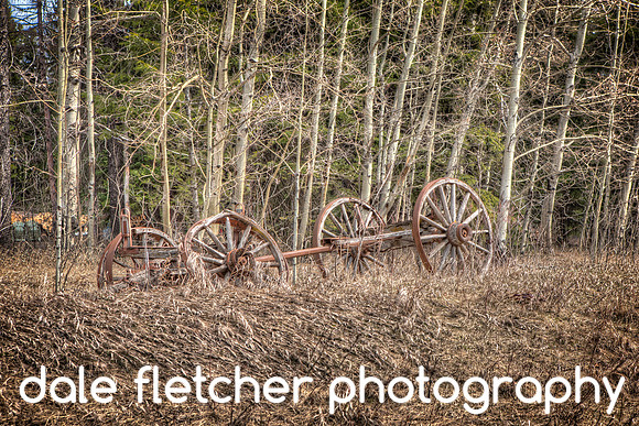 2908 Old Wagon