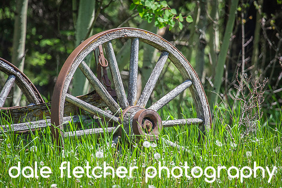 8857 Wagon Wheel