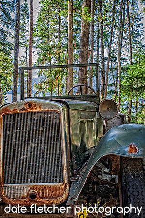 6348 Lost In The Forest
